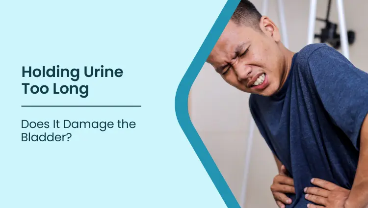 Blog post image for Does Holding Urine for Long Hours Damage the Bladder? What You Should Know
